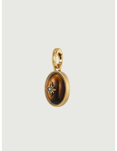 Tiger Eye Signature Silver Charm store