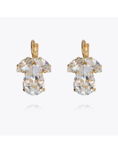 Timo Earrings / Crystal de technologie