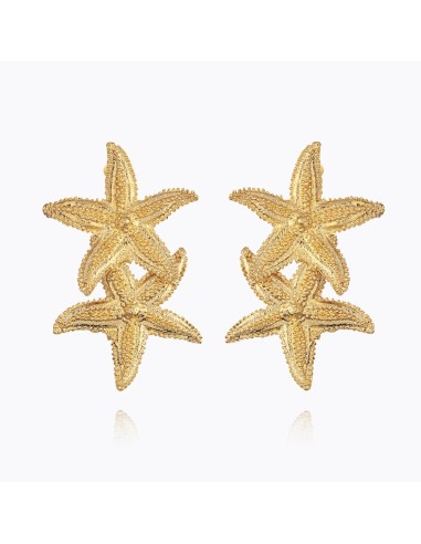 Grande Sea Star Earrings Comparez et commandez 