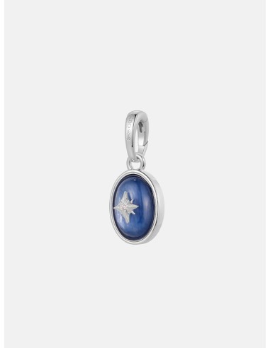 Blue Crystal Signature Silver Charm est présent 